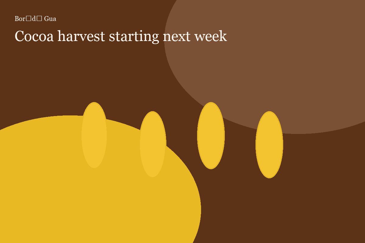 Cocoa harvest starting next week