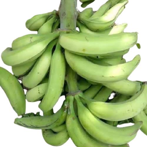 Plantain (Apantu)