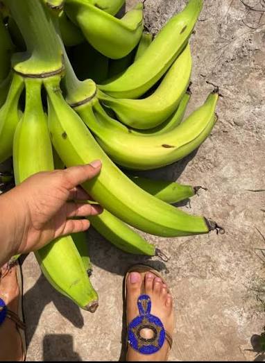 Plantain (Asamienu)