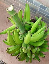Plantain (Oniaba)