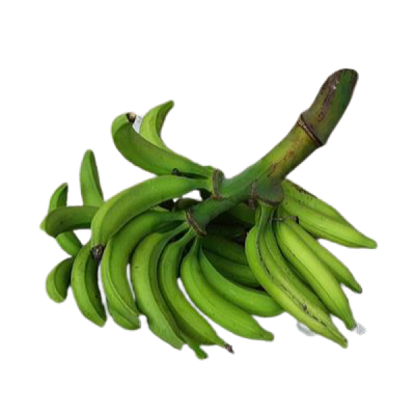 Plantain - Small